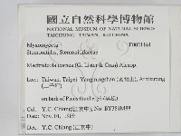 登錄號:F0021161藏品圖，第2張