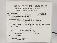 登錄號:F0021162藏品圖，第2張