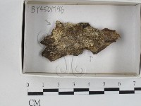 登錄號:F0021162藏品圖，第1張