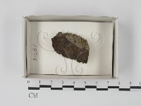 登錄號:F0021164藏品圖，第1張