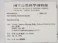登錄號:F0021169藏品圖，第2張