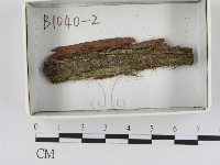 登錄號:F0021170藏品圖，第1張