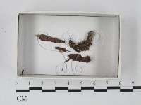 登錄號:F0021171藏品圖，第1張