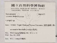登錄號:F0021172藏品圖，第2張