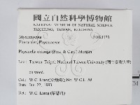 登錄號:F0021173藏品圖，第2張