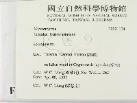 登錄號:F0021174藏品圖，第2張
