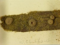 登錄號:F0021174藏品圖，第3張