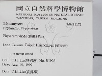 登錄號:F0021175藏品圖，第2張