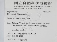 登錄號:F0021176藏品圖，第2張