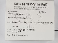 登錄號:F0021181藏品圖，第2張