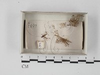 登錄號:F0021183藏品圖，第1張