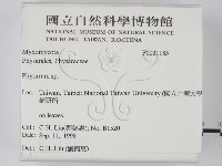 登錄號:F0021185藏品圖，第2張
