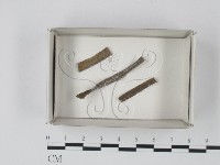 登錄號:F0021185藏品圖，第1張