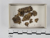 登錄號:F0021187藏品圖，第1張