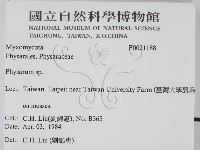 登錄號:F0021188藏品圖，第2張