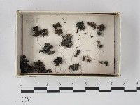 登錄號:F0021188藏品圖，第1張