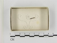 登錄號:F0021189藏品圖，第1張