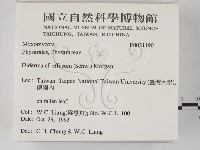 登錄號:F0021190藏品圖，第2張