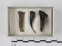 登錄號:F0021191藏品圖，第1張