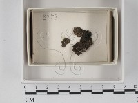 登錄號:F0021193藏品圖，第1張