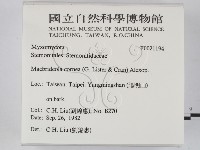 登錄號:F0021194藏品圖，第2張