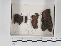 登錄號:F0021194藏品圖，第1張
