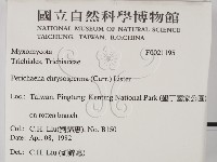 登錄號:F0021195藏品圖，第2張