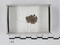 登錄號:F0021196藏品圖，第1張