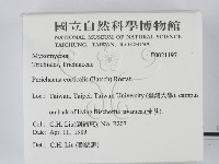 登錄號:F0021197藏品圖，第2張
