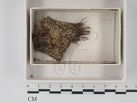 登錄號:F0021197藏品圖，第1張