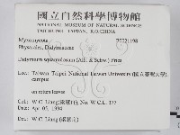 登錄號:F0021198藏品圖，第2張