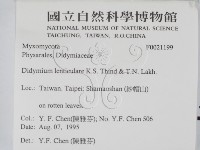 登錄號:F0021199藏品圖，第2張
