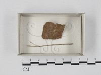 登錄號:F0021200藏品圖，第1張