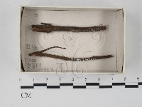 登錄號:F0021202藏品圖，第1張