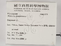 登錄號:F0021203藏品圖，第2張