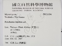 登錄號:F0021204藏品圖，第2張