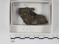 登錄號:F0021205藏品圖，第1張