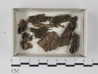 登錄號:F0021207藏品圖，第1張