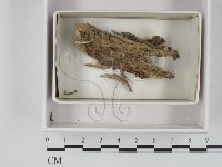 登錄號:F0021209藏品圖，第1張