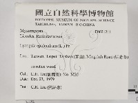 登錄號:F0021211藏品圖，第2張