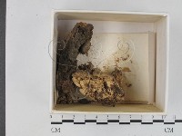 登錄號:F0021212藏品圖，第1張
