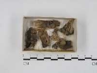登錄號:F0021214藏品圖，第1張