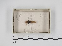 登錄號:F0021216藏品圖，第1張