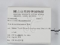 登錄號:F0021217藏品圖，第2張