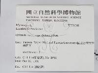 登錄號:F0021218藏品圖，第2張