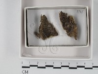 登錄號:F0021220藏品圖，第1張