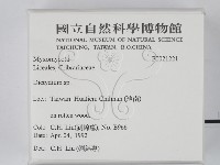登錄號:F0021221藏品圖，第2張