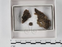 登錄號:F0021221藏品圖，第1張