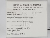 登錄號:F0021222藏品圖，第2張