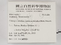 館號:F0021224藏品圖，第2張